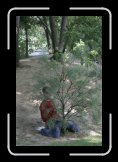domestique coyote 004 * 2336 x 3504 * (4.07MB)